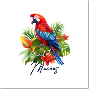 Scarlet Macaws Posters and Art